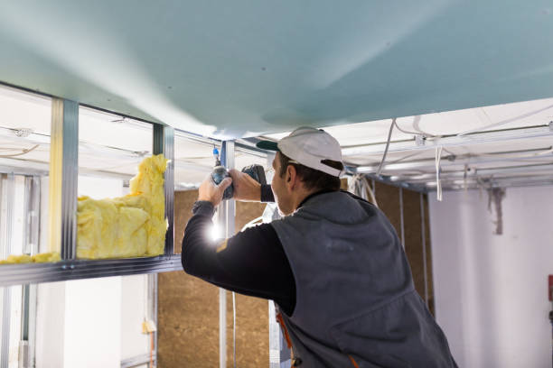 Best Blown-in Insulation  in Johnston, SC