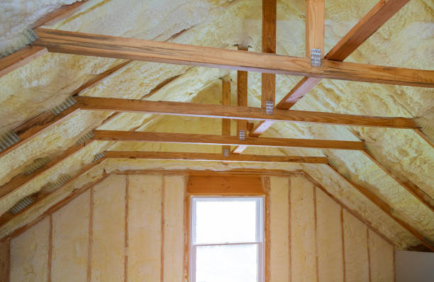 Best Cellulose Insulation  in Johnston, SC
