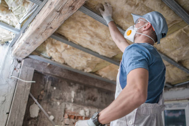 Best Affordable Insulation Services  in Johnston, SC