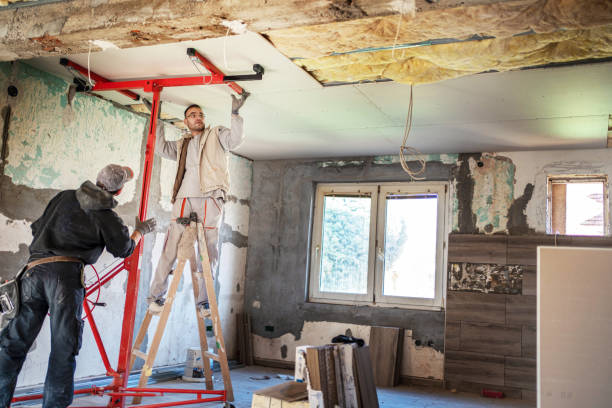Best Attic Insulation Installation  in Johnston, SC