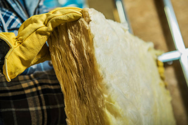 Best Commercial Insulation Contractor  in Johnston, SC