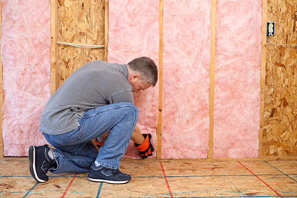 Best Residential Insulation Services  in Johnston, SC