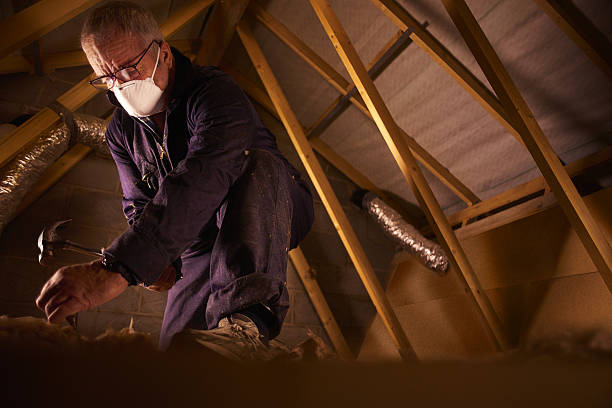 Best Insulation for New Construction  in Johnston, SC